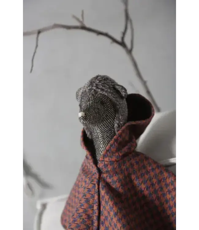 2 Stories kids - Porcupine cuddling friend