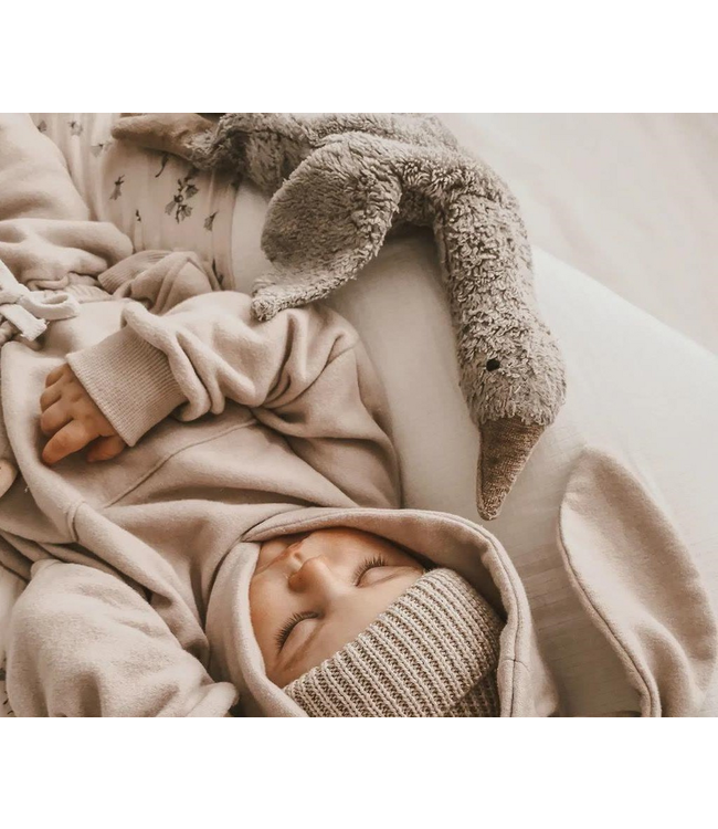 Senger goose small grey