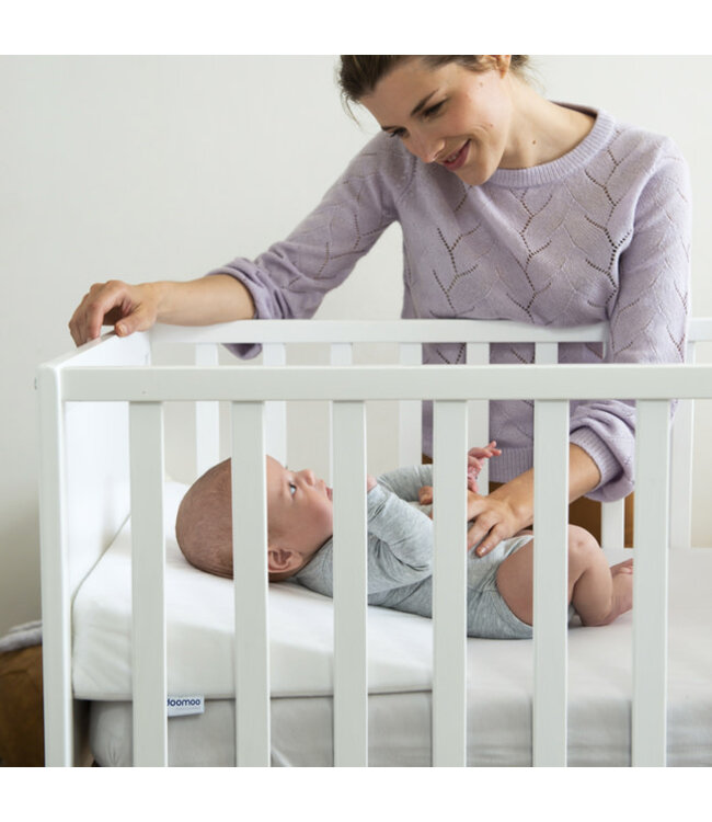 Doomoo - Rest easy large