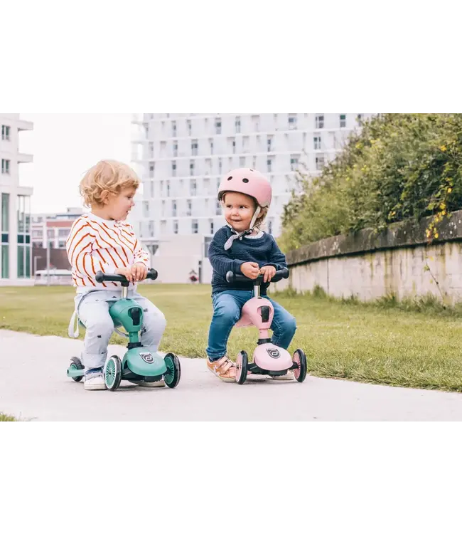 Scoot and Ride - Highwaykick 1 - Steel