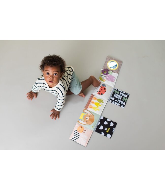 Taf Toys - URBAN GARDEN PRAM BOOK