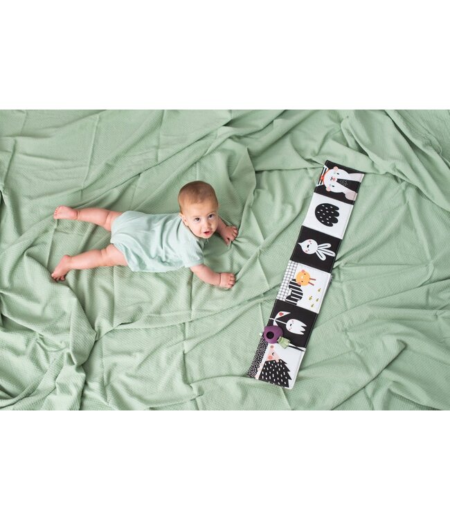 Taf Toys - URBAN GARDEN PRAM BOOK