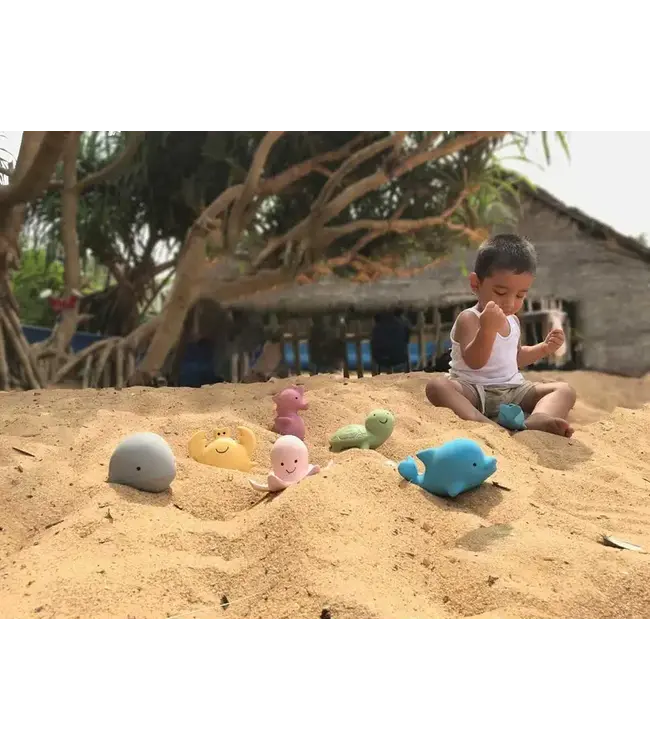 Tikiri -  MIJN EERSTE OCEAANDIERTJE / ZEEPAARDJE