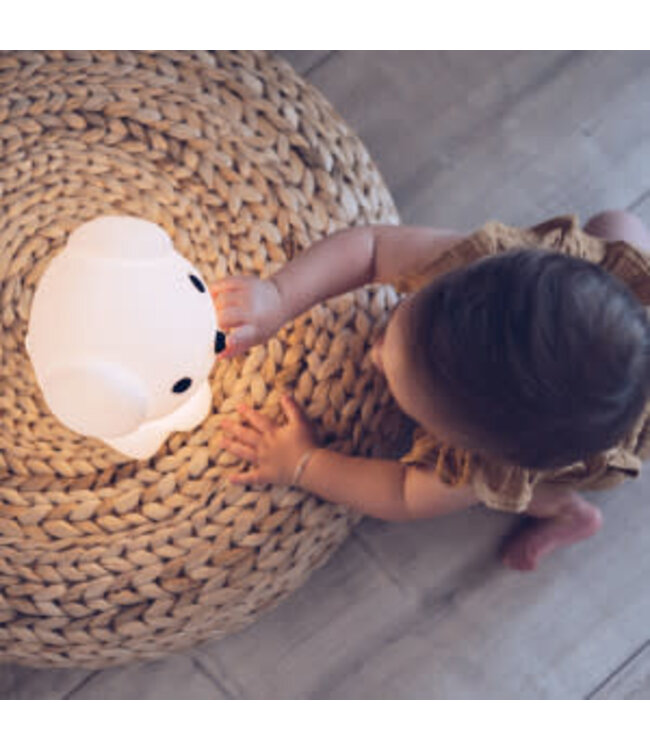 Mr Maria - First Light Snuffy 19x16x23