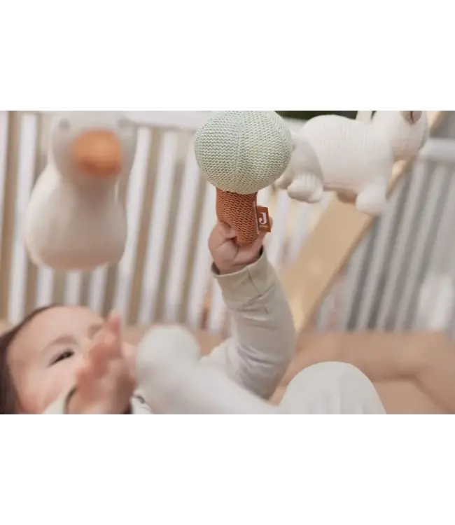 Jollein - Babygym Speeltjes Lamb