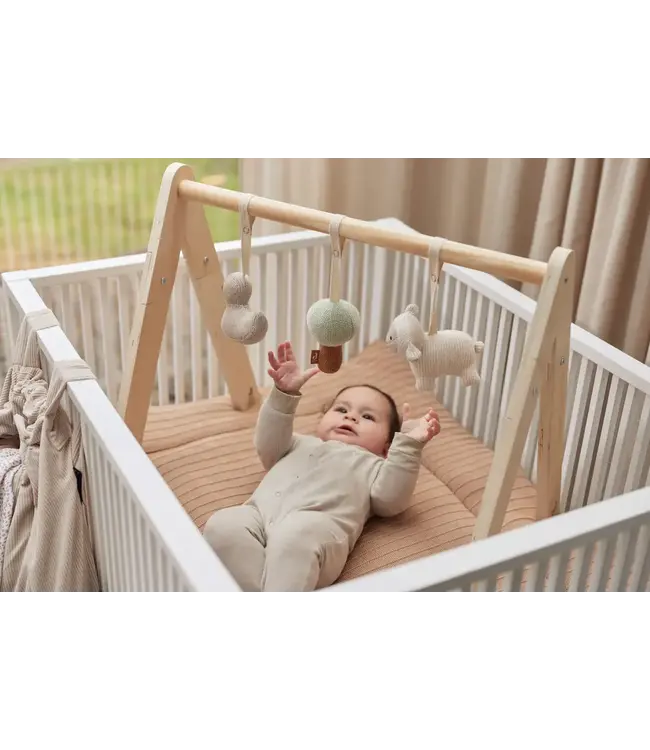 Jollein - Babygym Speeltjes Lamb