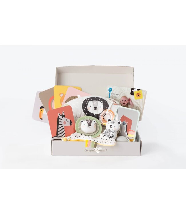 Taf toys - Hello baby Newborn Develop & Play Kit