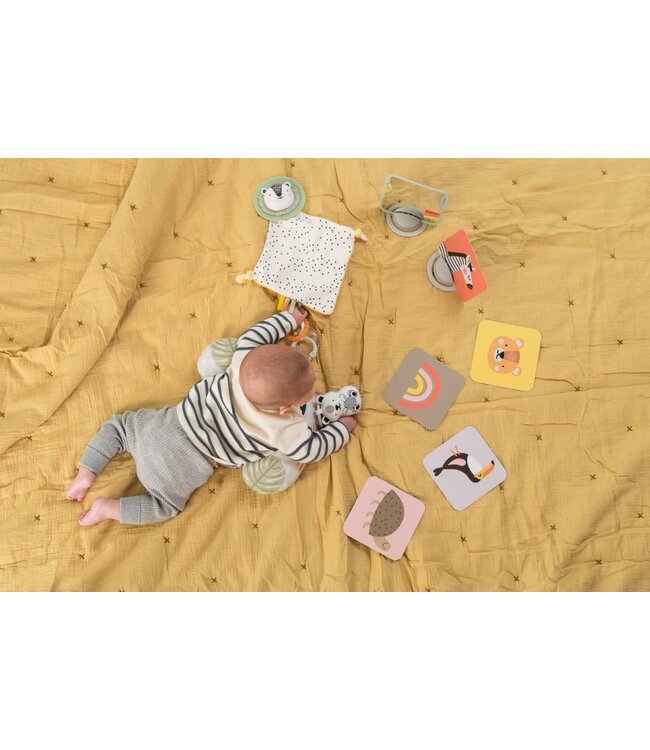 Taf toys - Hello baby Newborn Develop & Play Kit