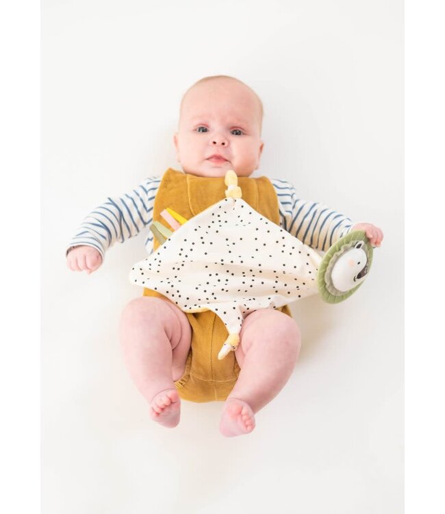 Taf toys - Hello baby Newborn Develop & Play Kit