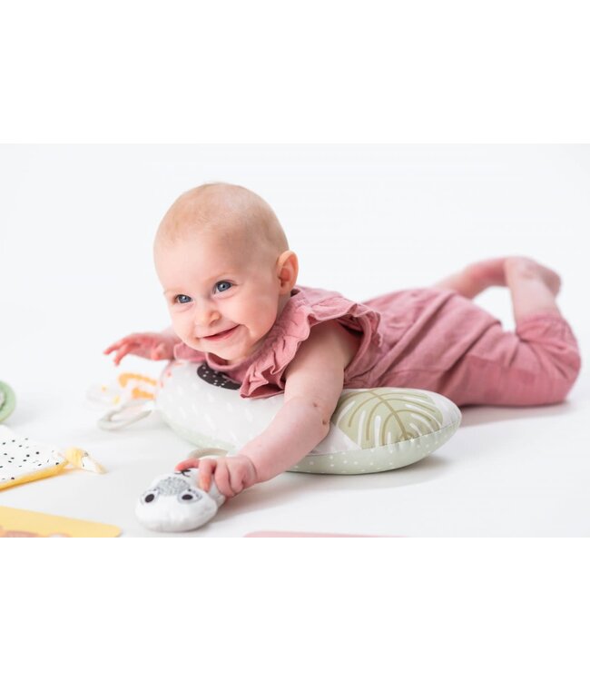 Taf toys - Hello baby Newborn Develop & Play Kit