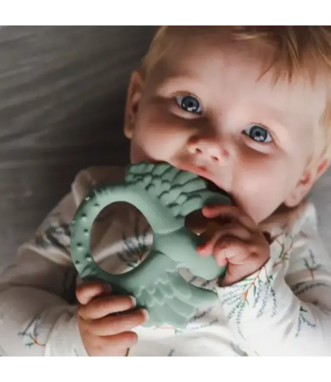 Natruba - Parrot Light green