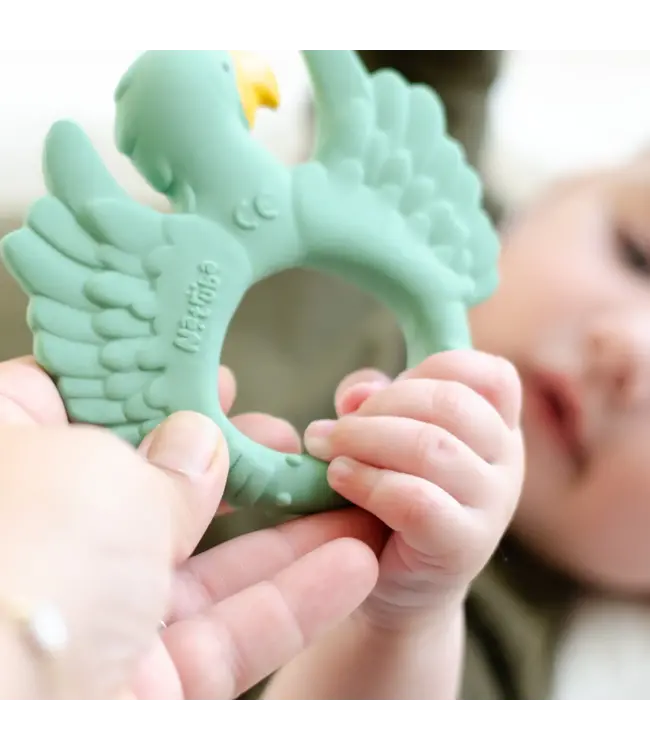 Natruba - Parrot Light green