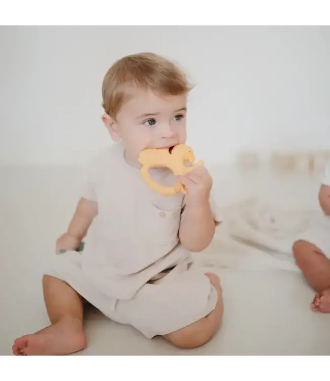 Natruba - Parrot Yellow