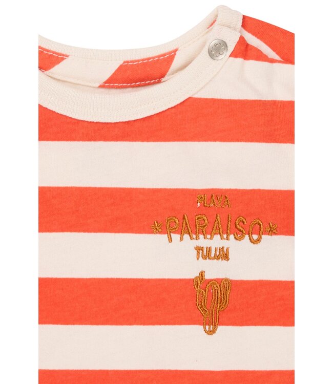 Noppies - Longsleeve Ogaki Stripe pattern