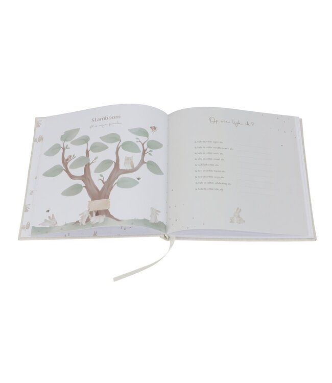 Little Dutch - Babyboek 'mijn eerste jaar' Baby Bunny