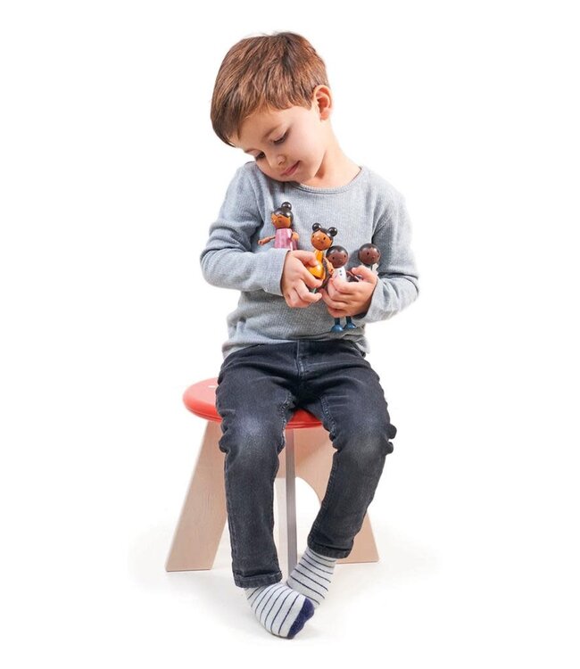 Tender Leaf Poppenmeubels: POPPENFAMILIE 'HUMMING BIRD'