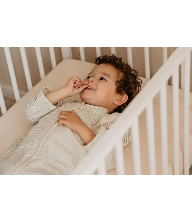 Puckababy The Bag 4 Seasons - 6 M/2.5 Y | 100 CM  Green stripes