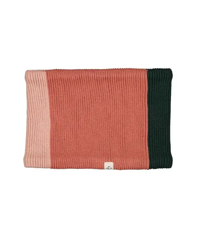 Chamaye - Snood tricolore rose /vert