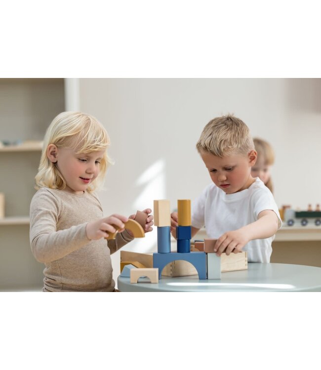 Flexa - Play wooden creative blocks