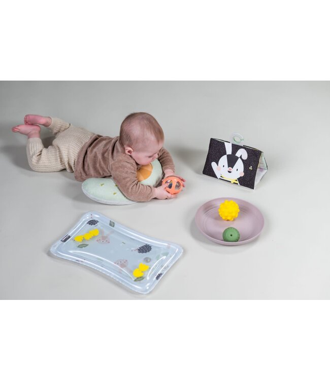 Taf Toys - Tummy time essentials kit