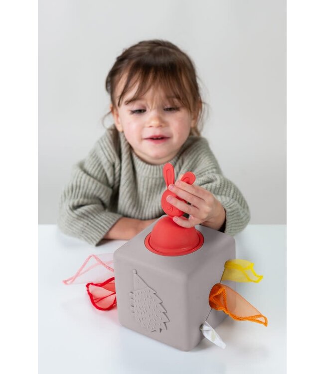 Taf Toys - Pop up Tissue box