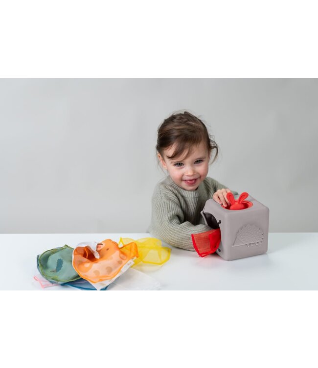 Taf Toys - Pop up Tissue box