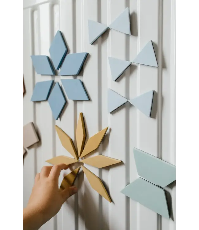 Moes Play - Magnetic Puzzle