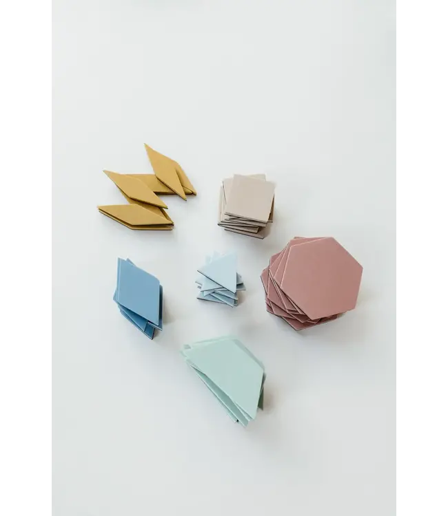 Moes Play - Magnetic Puzzle