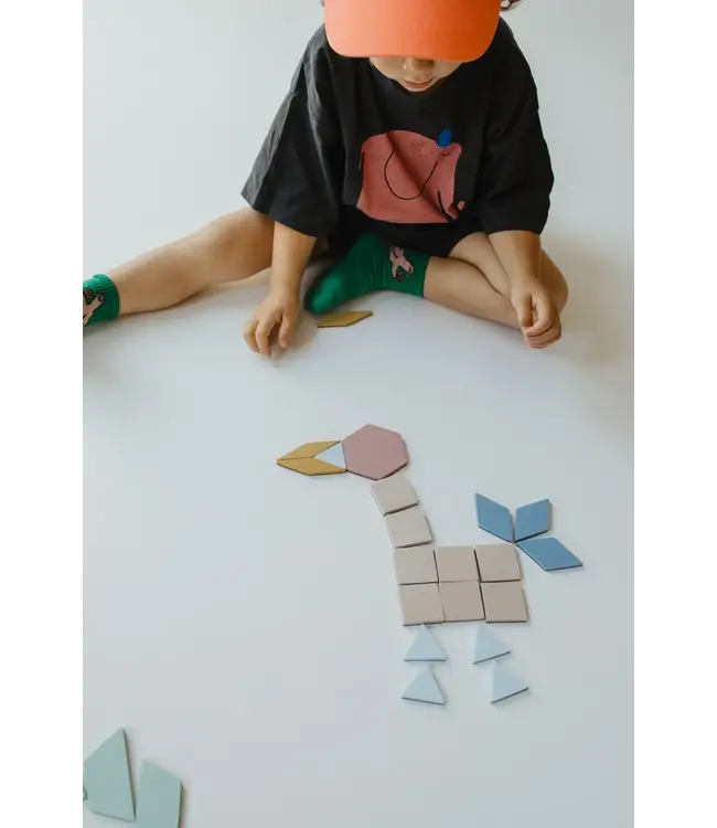 Moes Play - Magnetic Puzzle