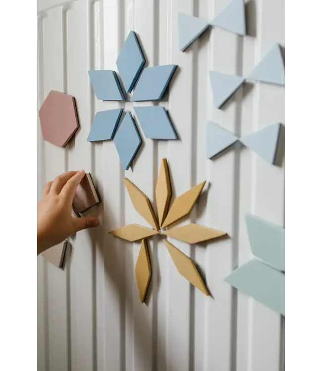 Moes Play - Magnetic Puzzle