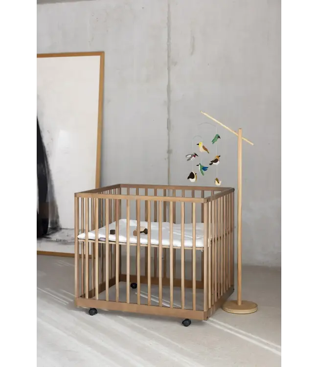 Quax - BOX MORI Walnut