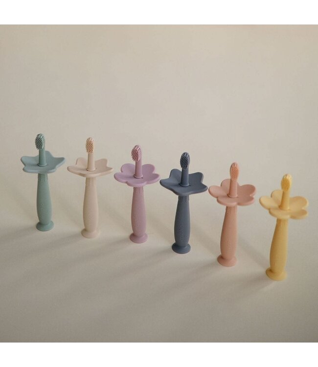 Mushie - Toothbrush star Tradewinds