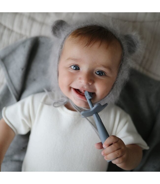 Mushie - Toothbrush star Tradewinds