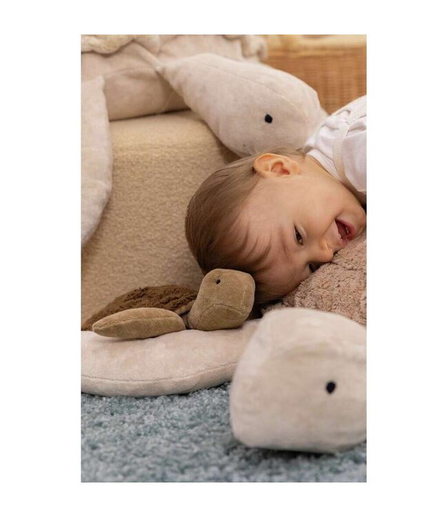 Senger - Turtle small brown