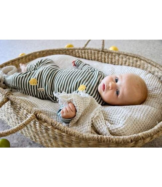 Lassig - Long sleeve shirt ribbed Lemon dark green