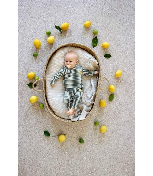 Lassig - Long sleeve shirt ribbed Lemon dark green