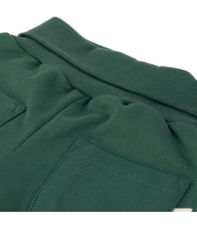 Lassig - Sweatpants dark green