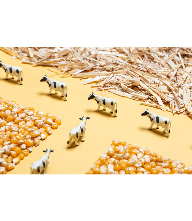 Petit Boum – Sensorische fles – Boerderij