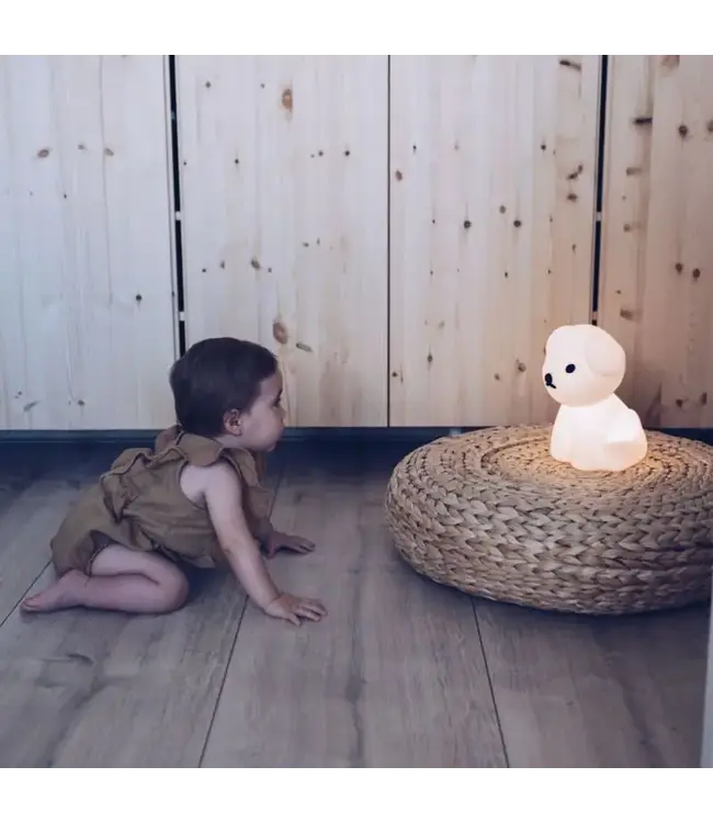 Mr Maria - First Light Snuffy 15x15x30