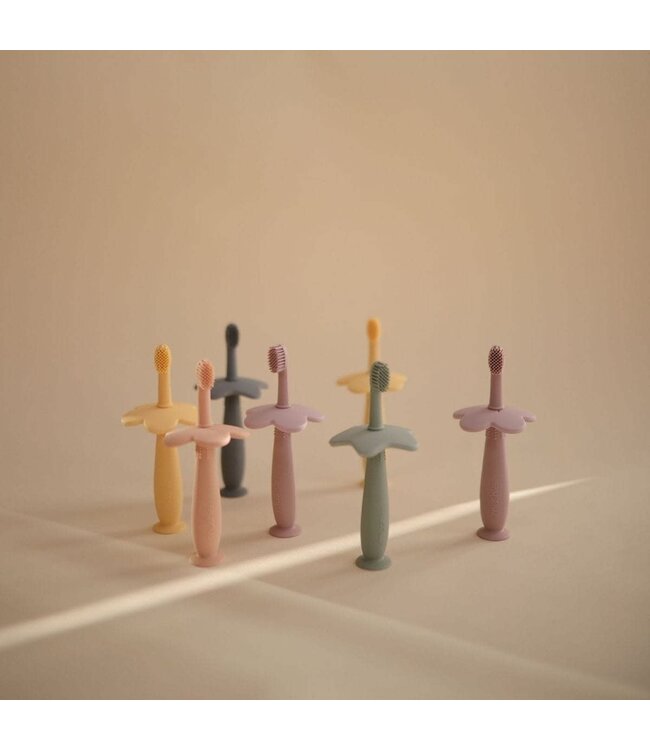 Mushie - Toothbrush star Cambridge blue