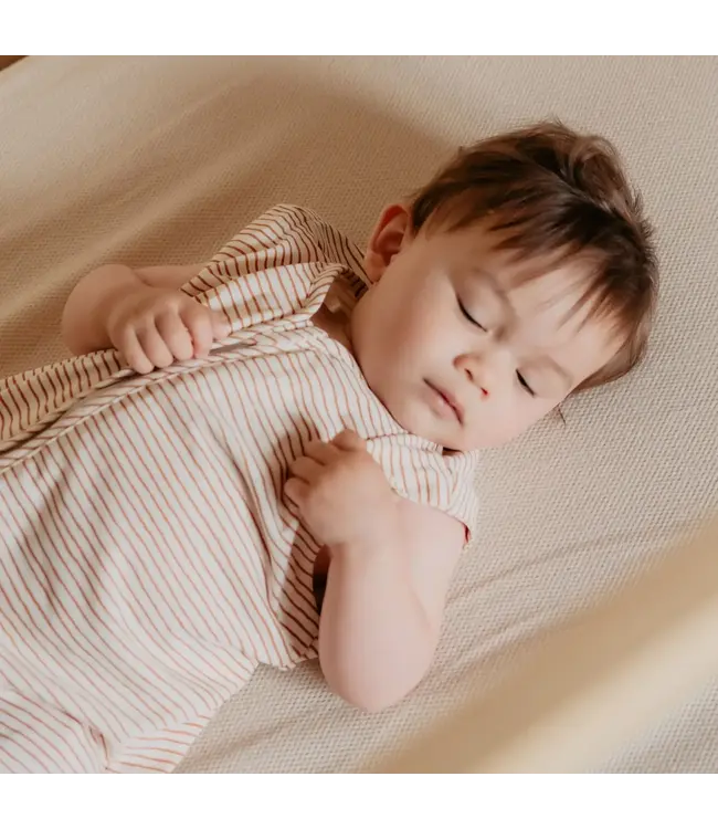 Puckababy The Bag 4 Seasons - 6 M/2.5 Y | 100 CM  Hazel Stripes