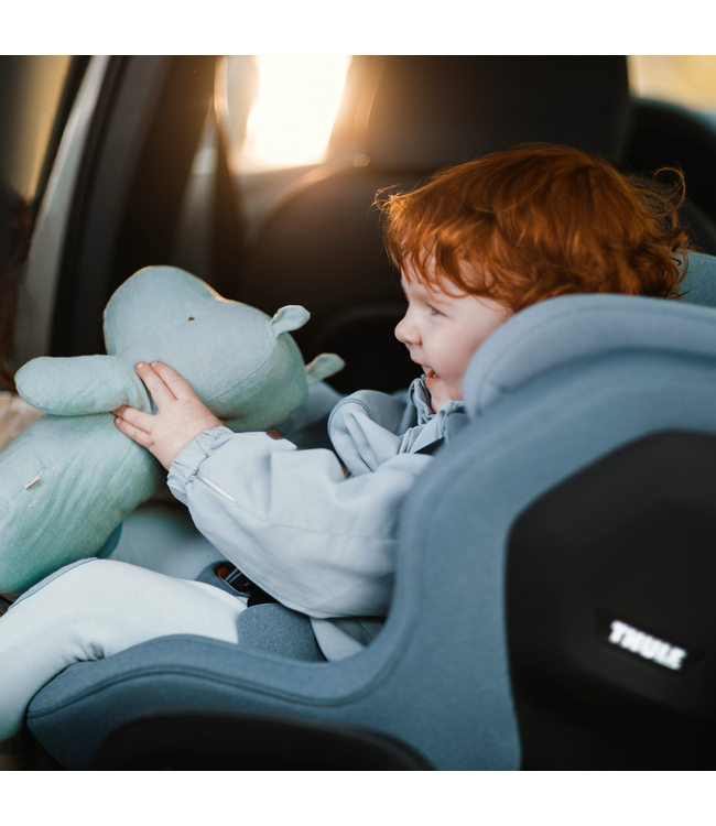 Thule - Elm Toddler car seat Black