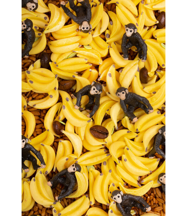 Petit Boum – Sensorische fles – Aap