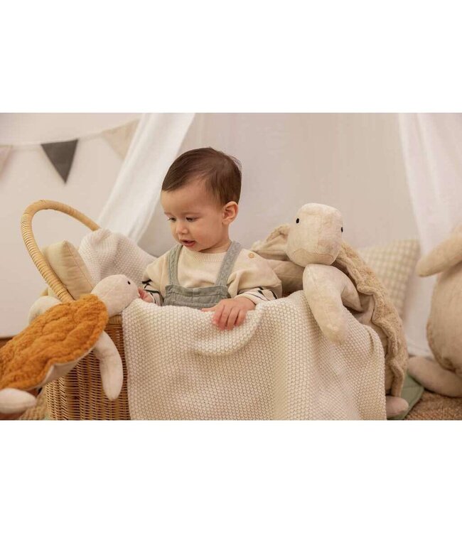 Senger - Turtle small Rust