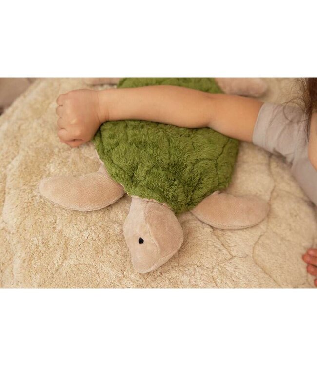 Senger - Turtle small  Fir Green