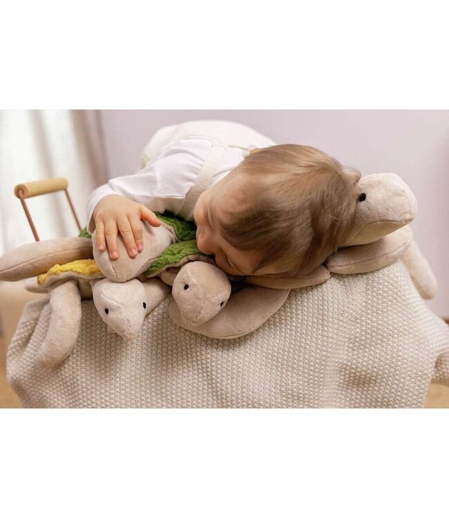 Senger - Turtle small  Fir Green