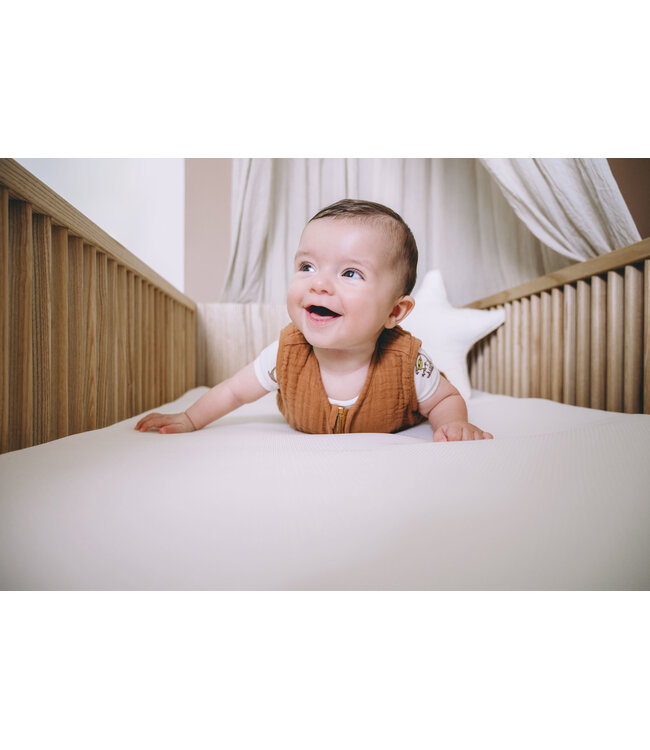 Zzzoo - Airgosafe Panter