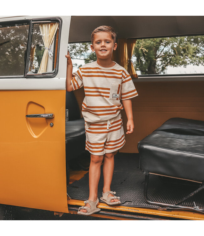 Your wishes - Triad Stripe bermuda shorts multicolor