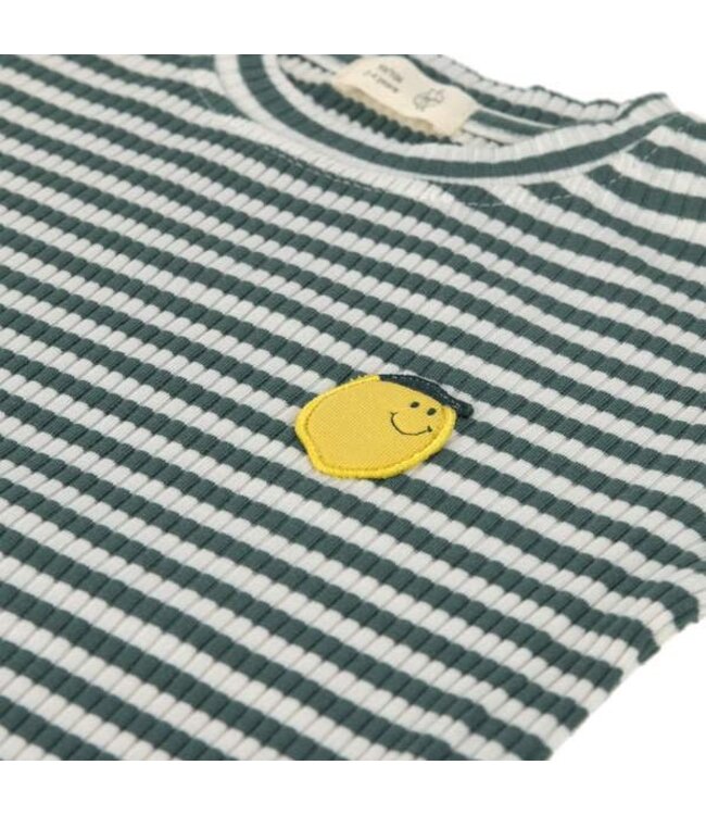 Lassig - Long sleeve shirt ribbed Lemon dark green