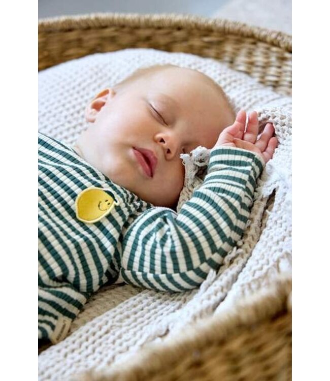 Lassig - Long sleeve shirt ribbed Lemon dark green